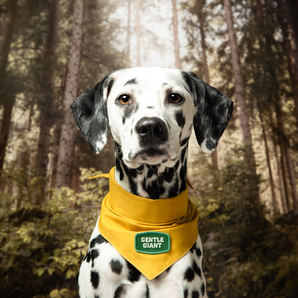 Gentle Giant iron-on patch for pets