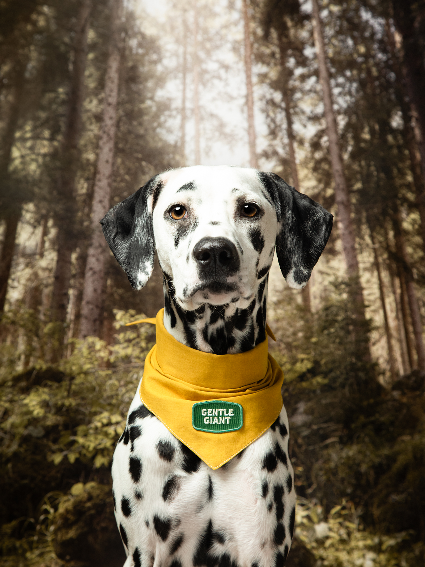 Gentle Giant iron-on patch for pets