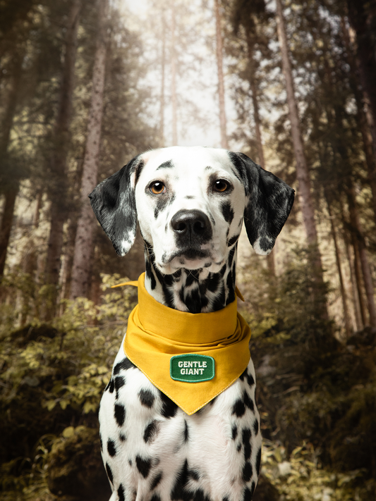 Gentle Giant iron-on patch for pets