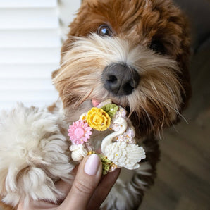Artisan Biscuit | Wreath