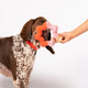 Wiggle Ring viltspeeltje