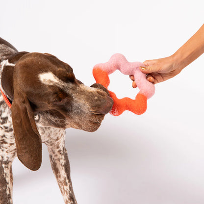 Wiggle Ring Felt Toy