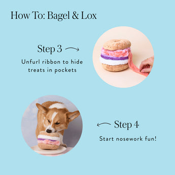 How-to guide for using the Bagel and Lox treat ribbon and starting nose-work play
