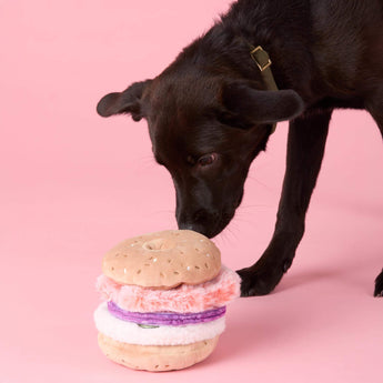 Dog investigating the Bagel and Lox interactive snuffle toy