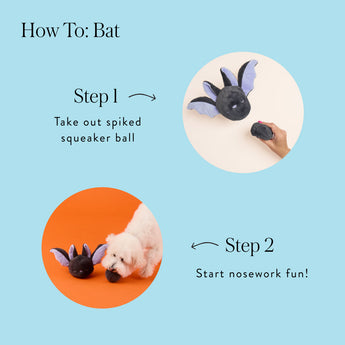 How-to guide for removing the Bat toy's squeaker ball and starting interactive play