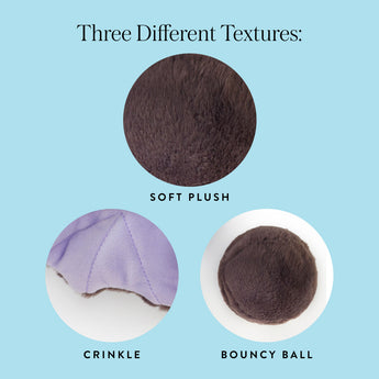 Close-up guide to the Bat dog toy's plush, crinkle and bouncy-ball textures