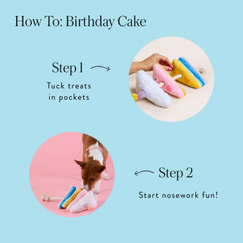 How-to guide for hiding treats between the Birthday Cake toy layers and starting nose-work play