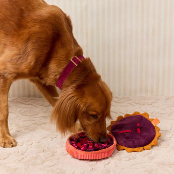 Dog searching for treats inside the open Berry Pie snuffle toy