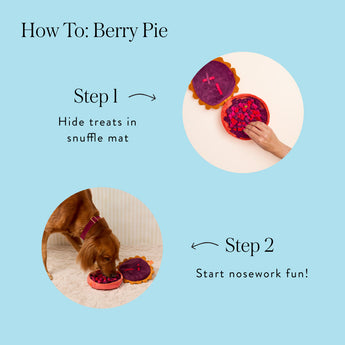 How-to guide for hiding treats and starting nose-work play with the Berry Pie toy