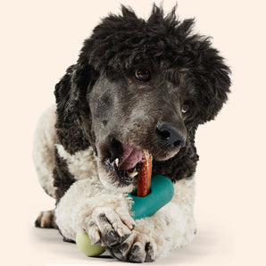 Woof BullySafe Bully Stick & Pizzle Chew Holder