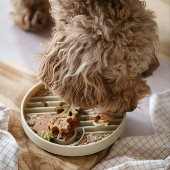 Official brand photo: Zoomies slow feeder bowl | Eggnog, view 3