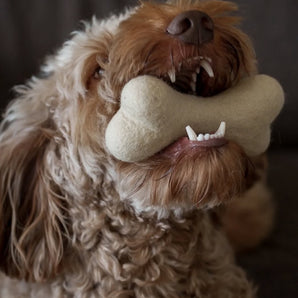Bone Felt Toy