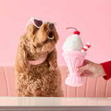 Dog being offered the Strawberry Milkshake interactive toy