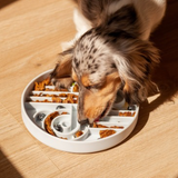 Official brand photo: Zoomies slow feeder bowl | Blueberry, view 3