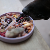Official brand photo: Zoomies slow feeder bowl | Fig, view 3