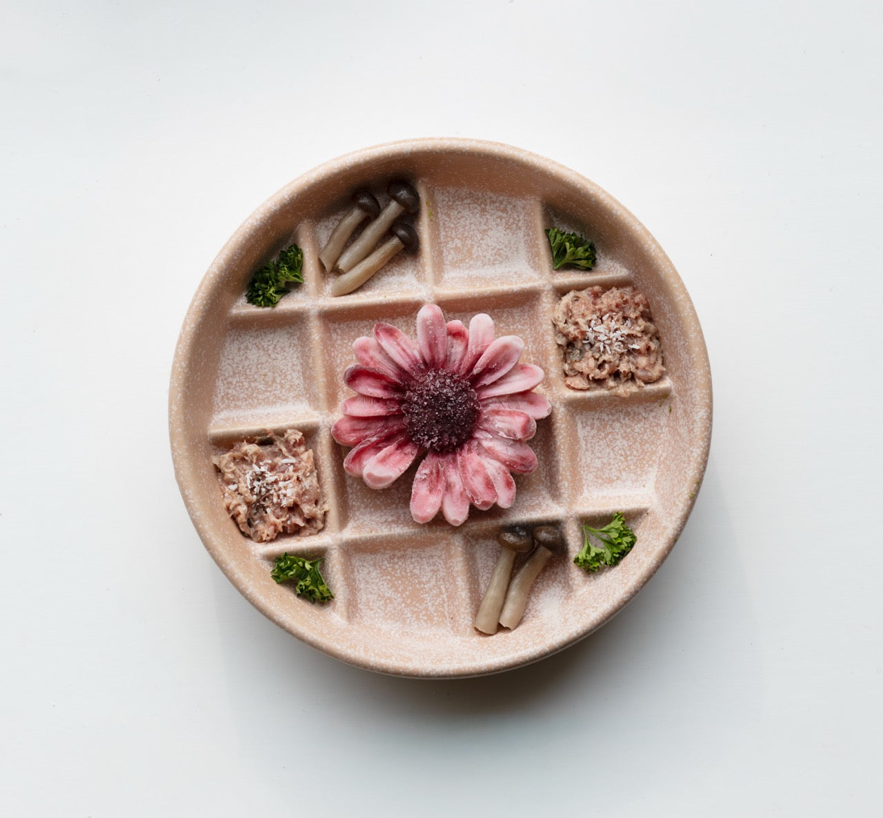 Daisy Mold