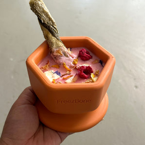 FreezCup