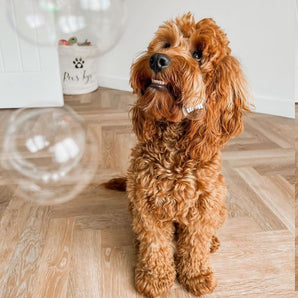 Smokey bacon bubbles