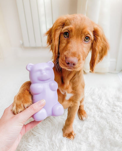 Gummy Squeaky Dog Toy