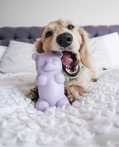 Gummy Squeaky Dog Toy