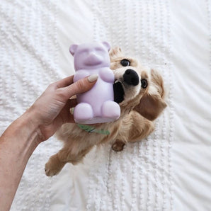 Gummy Squeaky Dog Toy