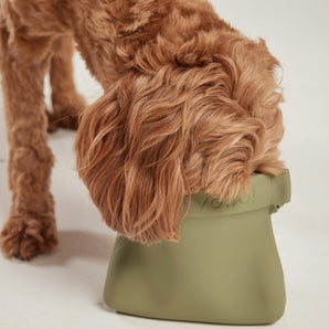 Ultimate Treat Pouch (New Version)