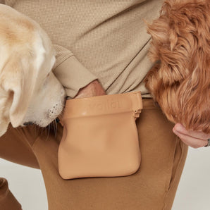 Ultimate Treat Pouch (New Version)