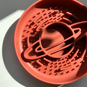 Planet Paws Bowl