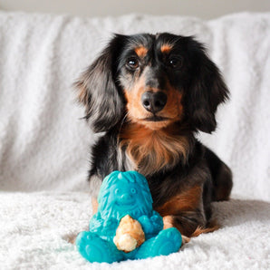 Puff And Play Toy (4 Nuggets Included)