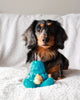 Puff And Play Toy (4 Nuggets Included)