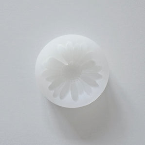 Daisy Mold
