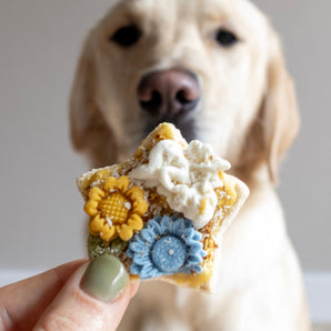 Artisan Biscuit | Star