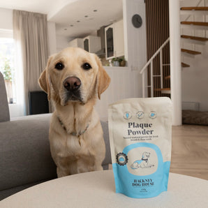 Plaque Seaweed Powder