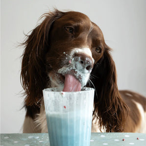 Alice in Wonderland Freakshake