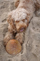 Rub Air Frisbee voor honden