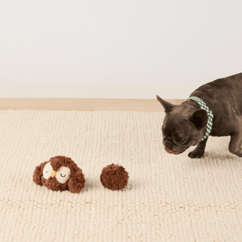 Animated demonstration of a dog approaching the Owl toy and removable ball