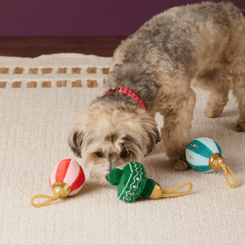 Christmas Ornament Boxed Dog Toy Set in action