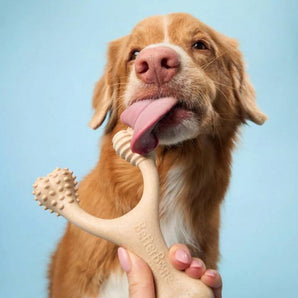 BetterBone
