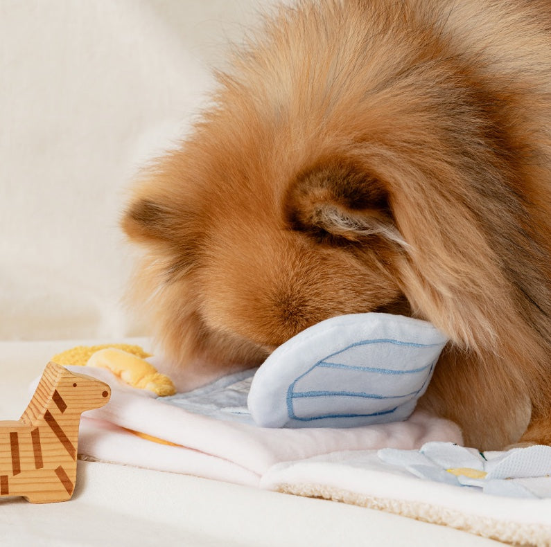 Fluffy Snuffy Nosework Book