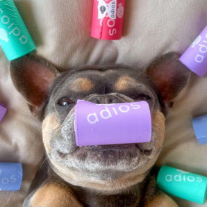 Compostable Dog Poo Bags