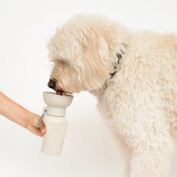 Springland Pets 20oz Flip Dog Travel Water Bottle in Oat, image 4