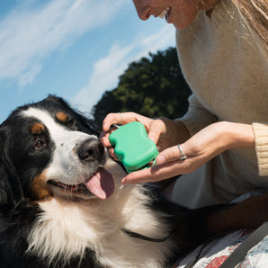 Springland Pets Silicone Dog Treat Dispenser in Green, image 2