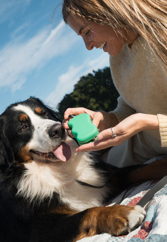 Springland Pets Silicone Dog Treat Dispenser in Green, image 2