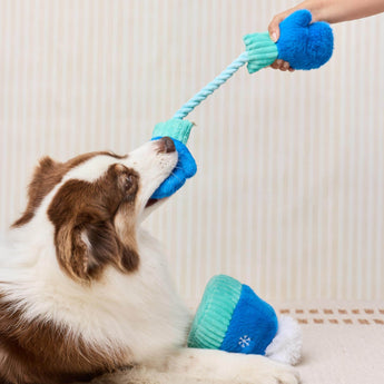 Snow Much Fun Interactive Snuffle Dog Toy Set - official product photo