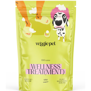 Kiwi Fruit Snack - Wellness Treat(ment)