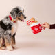 Feestelijke Warme Chocolade Interactief Snuffelhondenspeelgoed