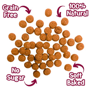 Nibbles Little Rewards - Maple Bacon Flavour