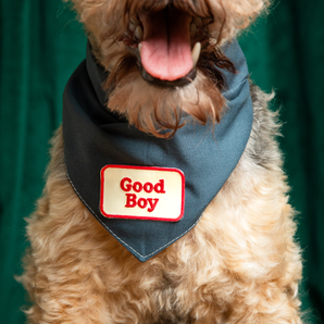 Good Boy iron-on patch for dogs