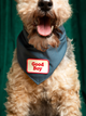 Good Boy opstrijkpatch
