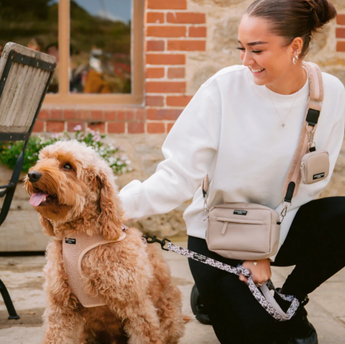 Vrouw wandelt buiten met een bruine krulhond in het Teddy Rupert tuig